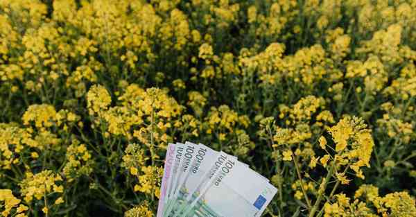 AI绘画面具和口罩的区别（防尘面具和N95口罩的区别）