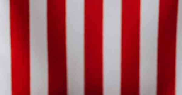 全自动智能宠物机器人 宠物机器人COZMO