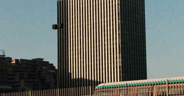 外国语单招大数据的行业文章