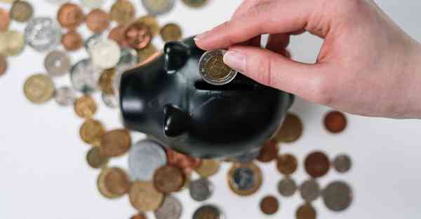 外国语单招大数据的行业文章