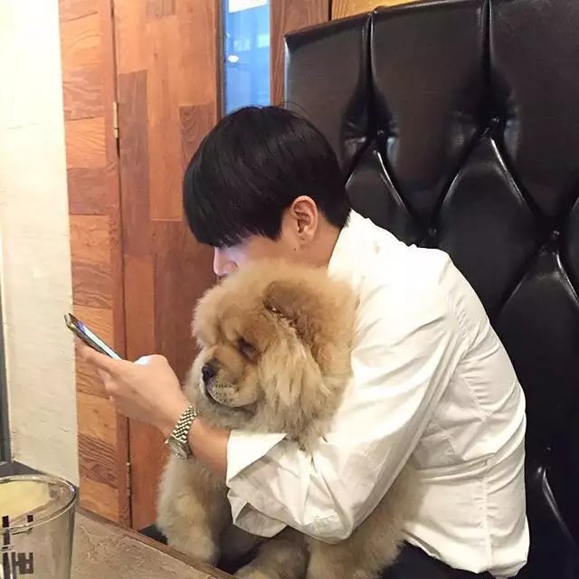 管博玲洋