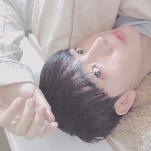 杨堂育桂