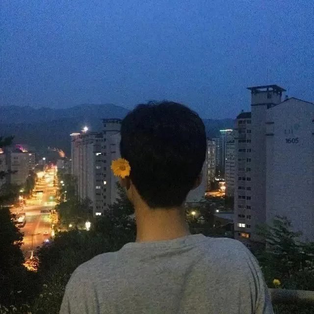 祁河树宏