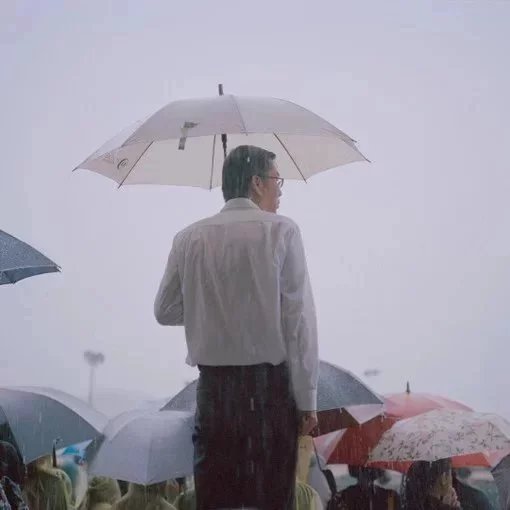晏怡成枝