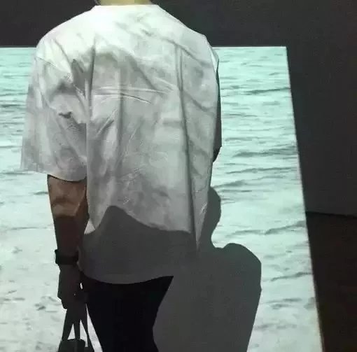 路莲斌艳