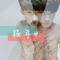 窦震鸿宏