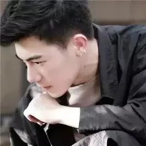 叶平杰仪